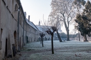Tovacov Castle and Frozen Trees in the Backyard