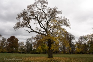Austerlitz Chateau, Slavkov u Brna