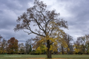 Austerlitz Chateau, Slavkov u Brna