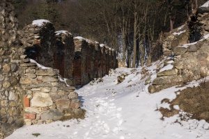 Boskovice castle in winter