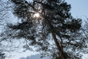 Boskovice castle in winter