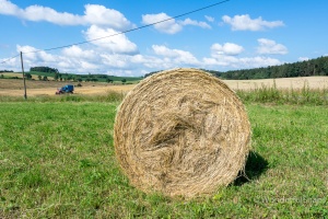 Petrovicky, Nemcice, Radochovy