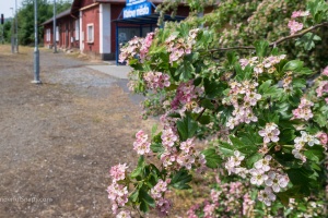 Old railway station Klatovy