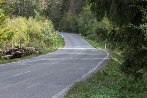 Road and trees upon a way home