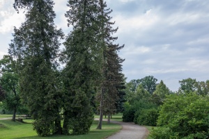 Jaromerice nad Rokytnou – chateau 