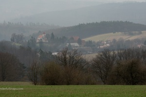 Landscape with a tree