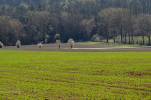 Landscapes with long lens