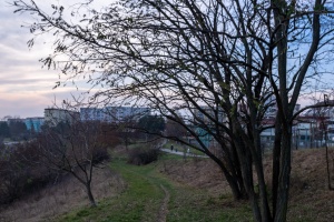 Short wander in Brno Lisen