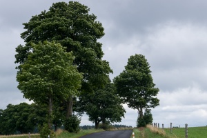 Loket castle and cloudy sky
