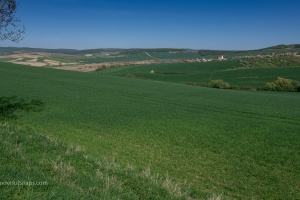 Milotice Chateau exteriors