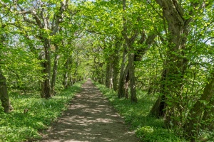 Milotice Chateau exteriors