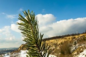 Old quarry Hady in winter