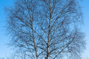 Old quarry Hady in winter