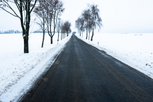 Snowy road with trees