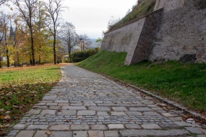 Spilberk and Cathedral of St. Peter and Paul