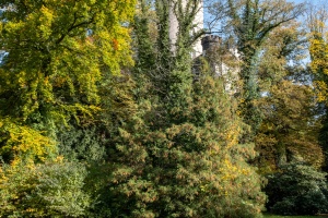 Chateau Zleby, short visit of the castle and its park