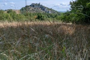 Falkenstein castle in Austria, view from the near fields