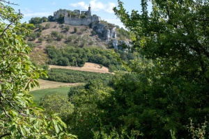 Falkenstein castle in Austria, view from the near fields