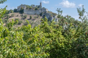 Falkenstein castle in Austria, view from the near fields