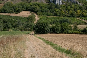 Falkenstein castle in Austria, view from the near fields