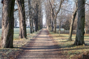 Slavkov Castle view from its park with trees