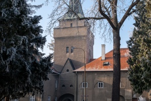 Tovacov Castle and Frozen Trees in the Backyard