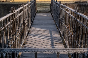 Tovacov Castle and Frozen Trees in the Backyard