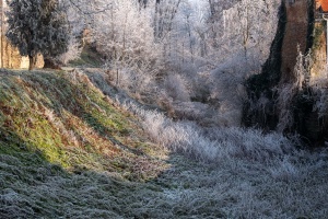 Tovacov Castle and Frozen Trees in the Backyard