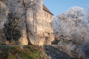 Tovacov Castle and Frozen Trees in the Backyard